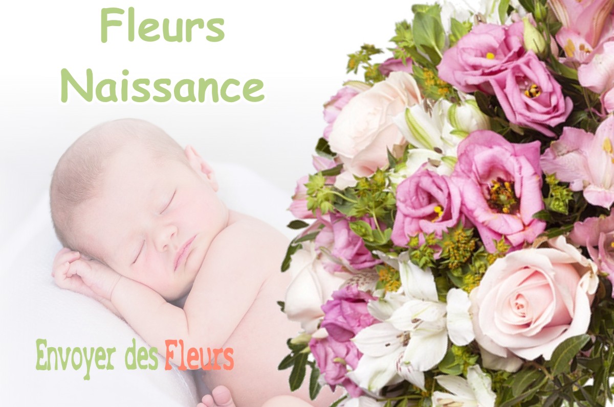 lIVRAISON FLEURS NAISSANCE à SAULVAUX